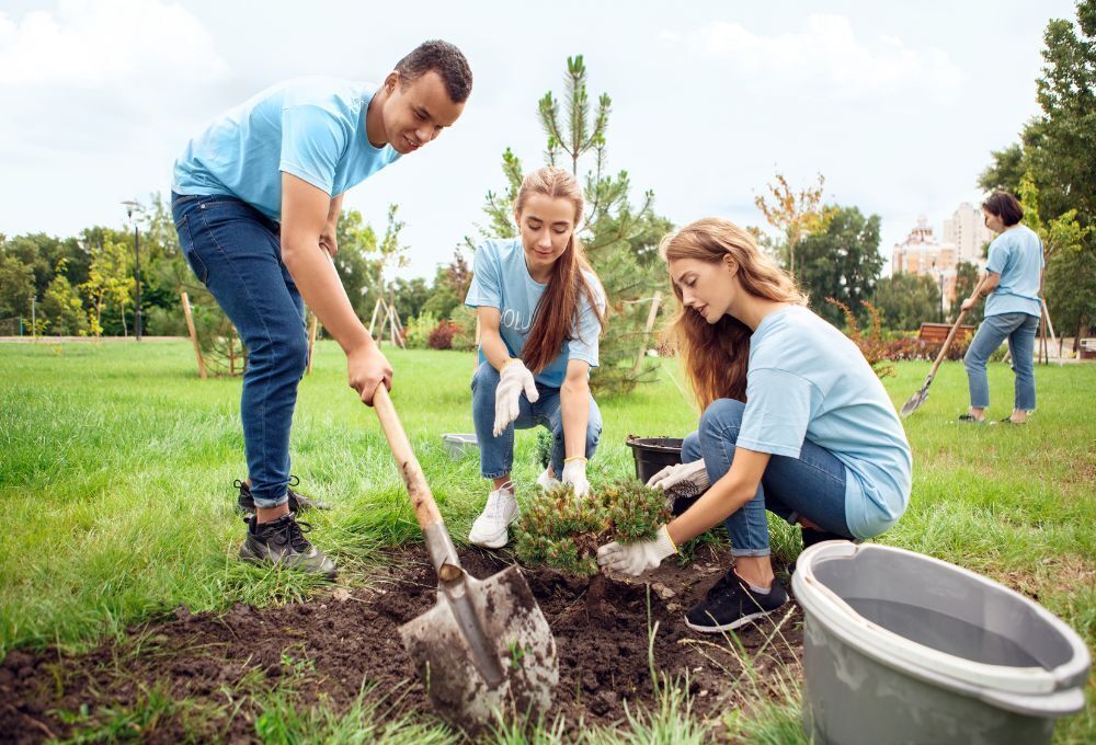 volunteers plant a tree