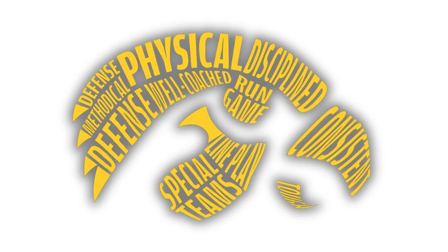 #26347_080926 QCT tigerhawk word logo illo.jpg