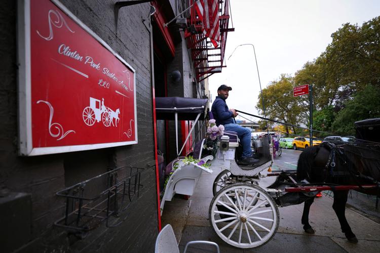 NEW YORK-HORSES/