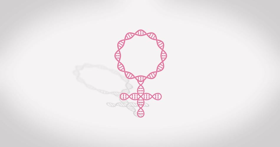 The International Olympic Committee is reinstating genetic testing for all female athletes competing in the 2028 Summer Olympics and future IOC events.