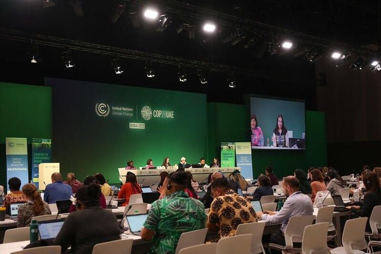 COP28 site - Dubai - Delegates