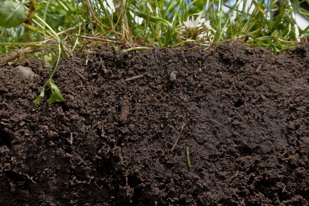 Nitrogen soil sampling project expands to Des Moines, Cedar Rapids watersheds