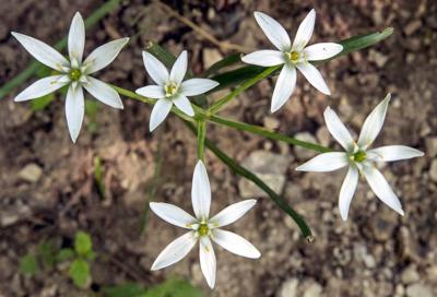 20200517_new_weather_5