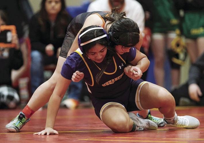 Monarch wrestler 2
