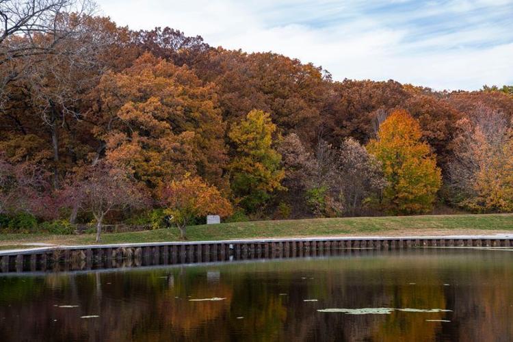 Fall foliage is seen at Greenwood Park on Thursday, Nov. 6, 2025, in Des Moines.