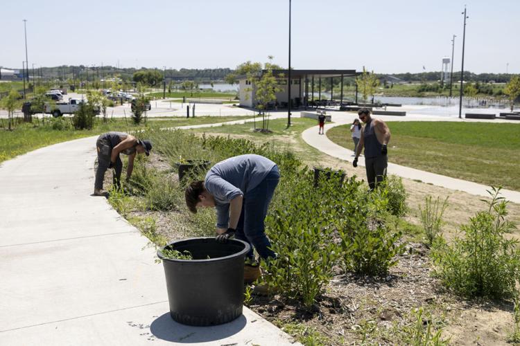 Chris Larsen Park prepares for RAGBRAI