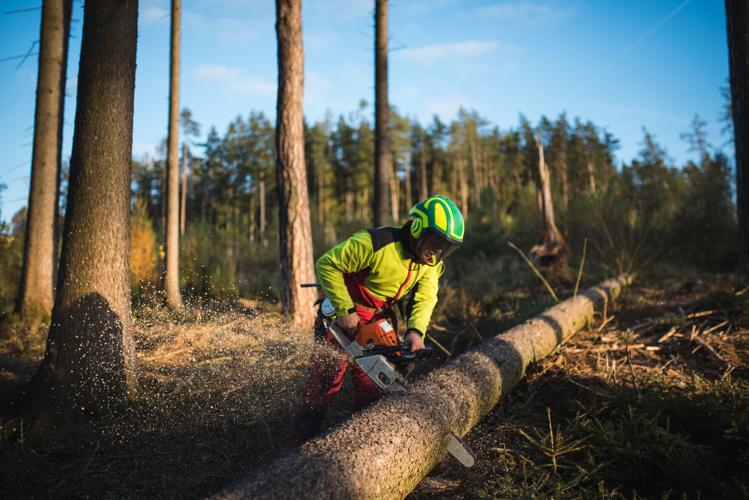 Logging