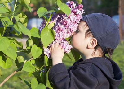 On your next trip, encourage family members to tune in to their senses.