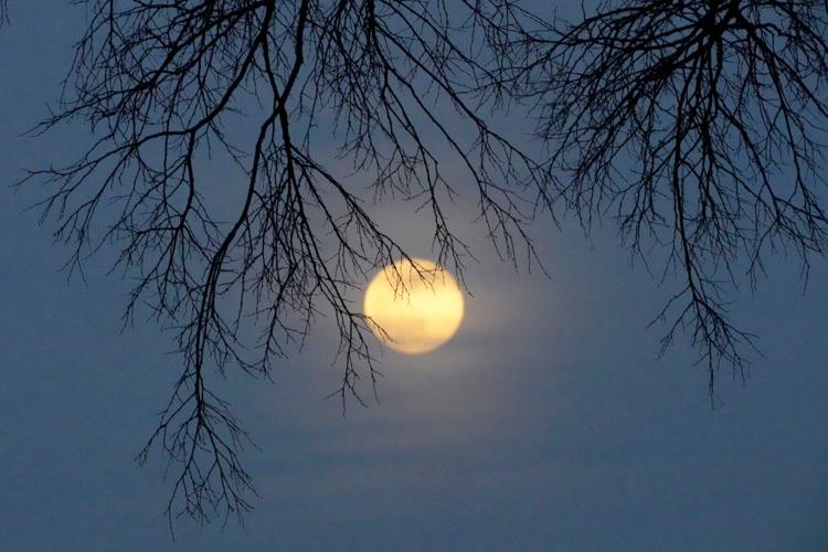 January Full Moon 2024, Full Moon Tonight, Full Wolf Moon Meaning