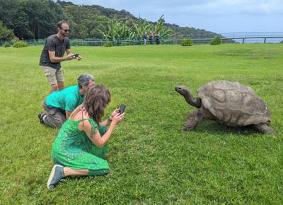 Britain World's Oldest-Tortoise