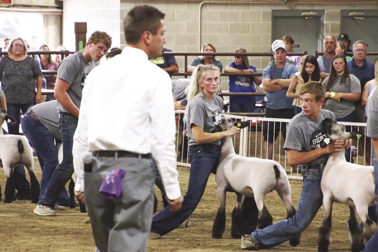 a Sophie Sonnichsen.jpg