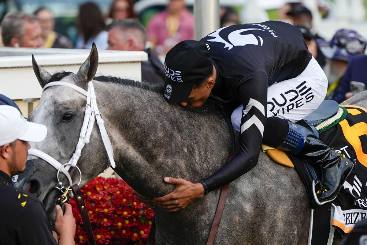 Preakness champ Seize the Grey likely to run at Belmont