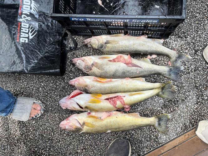 Fishing tournament scandal
