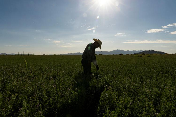 USA-ENVIRONMENT/DROUGHT