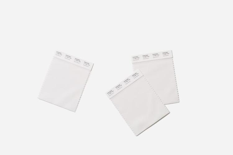 Pantone's color of the year is Cloud Dancer.