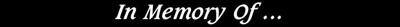 Wessel Gay, Fern