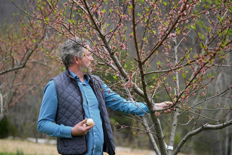 U.S. Rep. Thomas Massie holds two duck eggs while giving a tour of his farm March 11 in Garrison, KY.