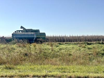 With drier weather, farmers make some progress on harvest