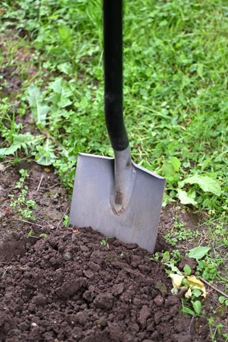 Gardening-Soil Health