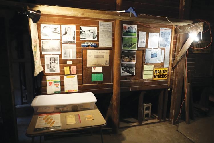 Display CMYK - Copy.jpg