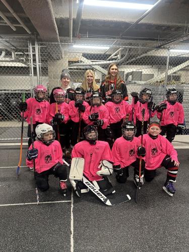 Mason City 8U Girls 1