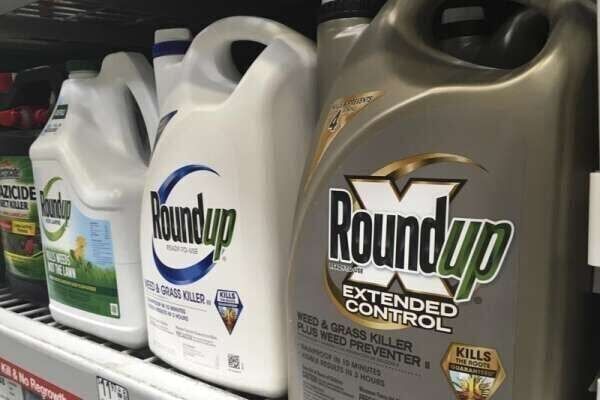 FILE — In this Feb. 24, 2019, file photo, containers of Roundup are displayed on a store shelf in San Francisco. (AP Photo/Haven Daley, File)