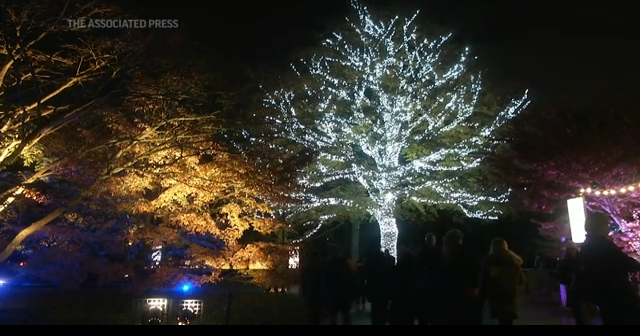 Denison Christmas Lights 2022 Christmas Lights Illuminate Famous London Gardens | News | Dbrnews.com