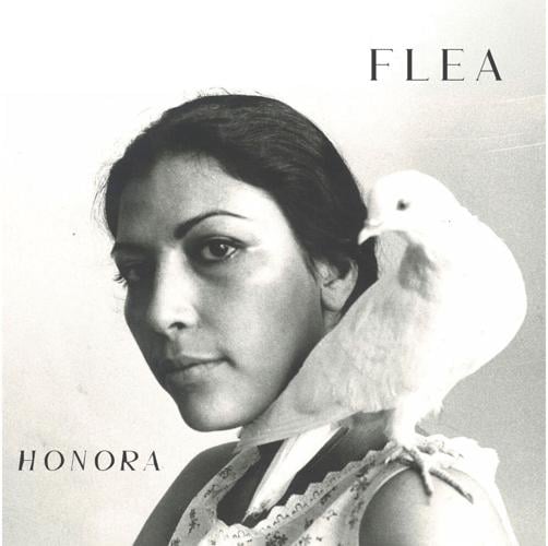 Flea -- Honora