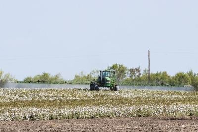 States, FTC secure settlement in suit against Corteva pesticide loyalty programs 