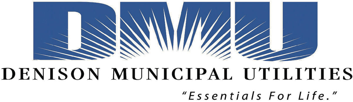 DMU Logo