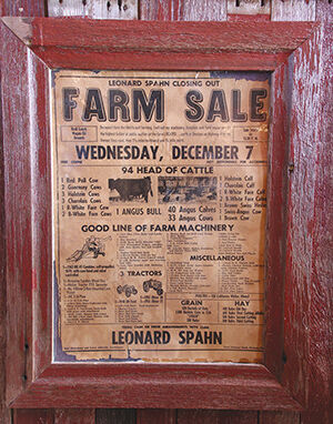 aaIMG_6248 - Copy.jpg