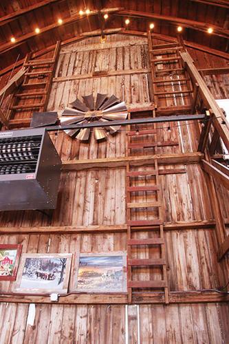 aaIMG_6275 - Copy.jpg