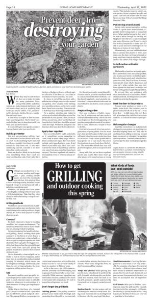 Page B15