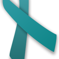 SAPR Ribbon | Features | dcmilitary.com