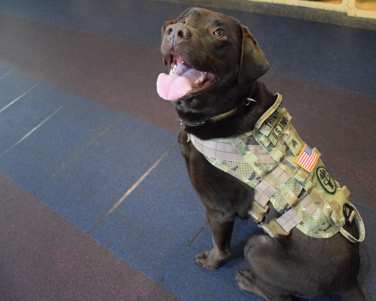 There S A New Sergeant In Town Features Dcmilitary Com