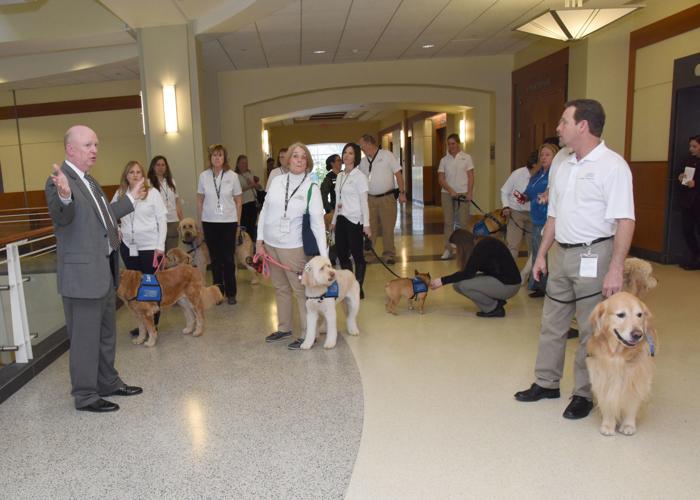 New Courthouse Dog, Child Witness Pilot Program launched in Anne