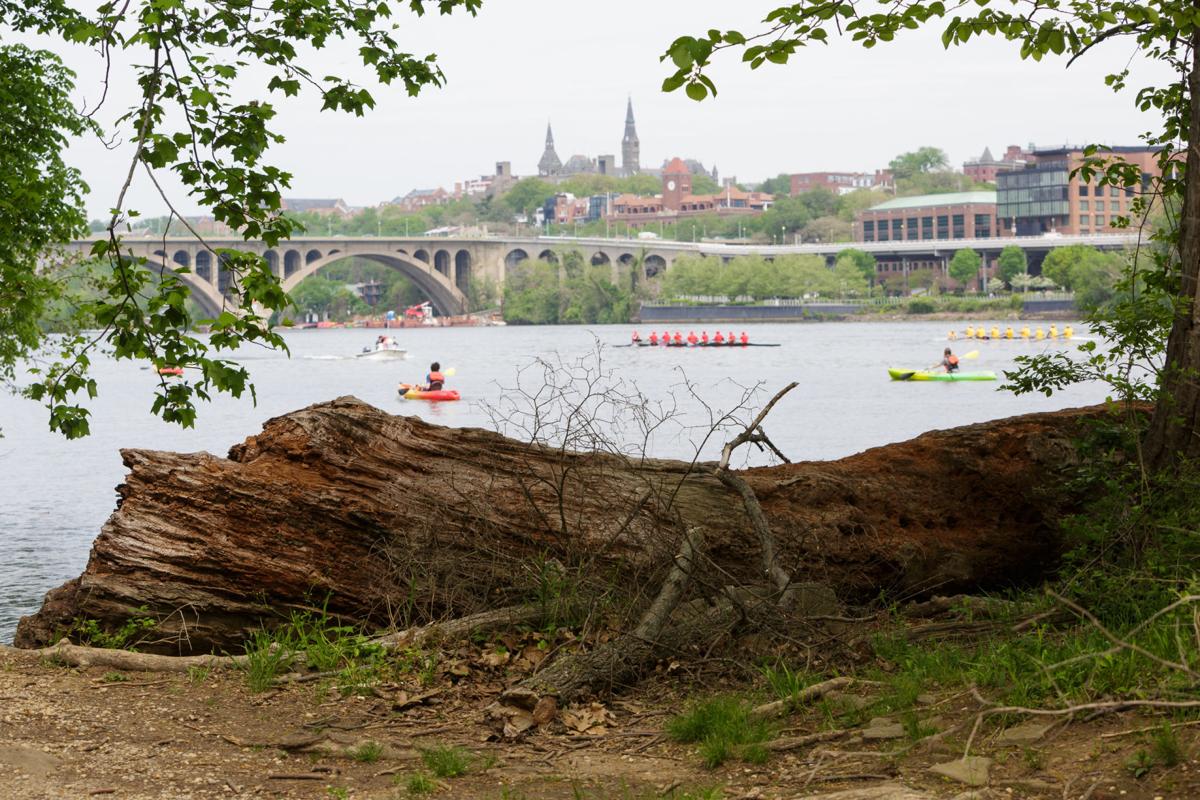 Explore D.C. Theodore Roosevelt Island Community