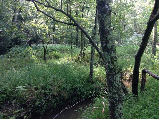 Pax River, ATR REPI Program tops 10K acres Local