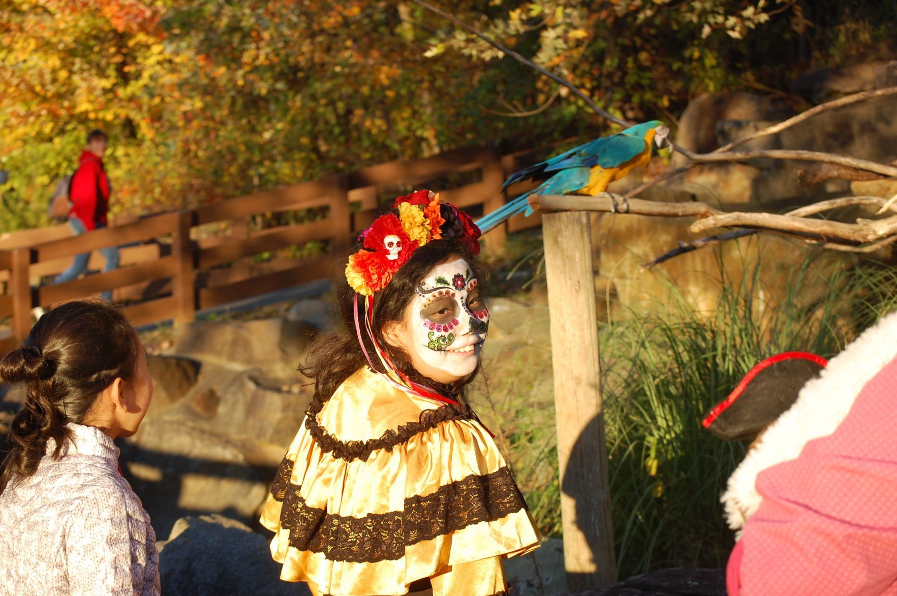 Boo At The Zoo: Trick-or-Treat Amongst The Animals | Column ...