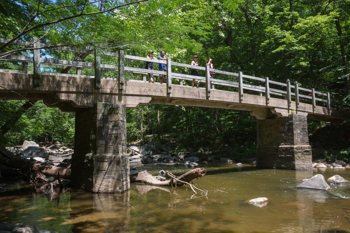 Explore D.C. Rock Creek Park Community
