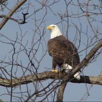 First Sentry | Local | dcmilitary.com