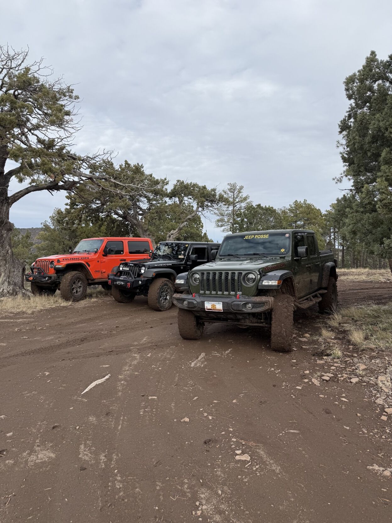 Yavapai County search and rescue crews reflect on 2025, see busy start ...