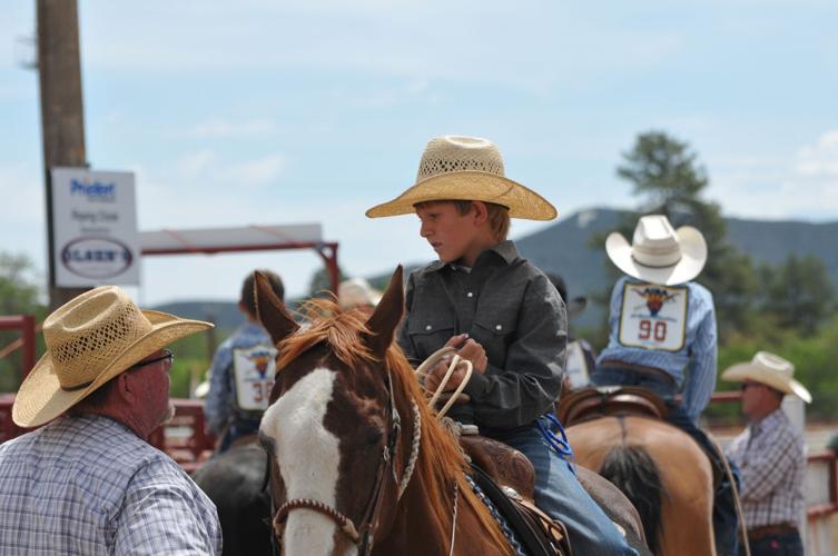 Picture This: 2016 Arizona Junior Rodeo | Sports | dcourier.com