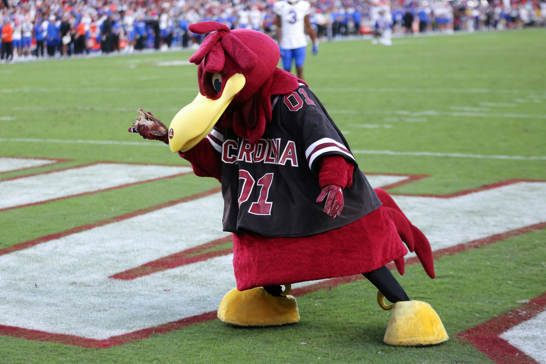 College football mascots just as good at keeping their identities ...
