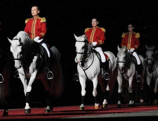 Photo Gallery: The World Famous Lipizzaner Stallions | Photo Galleries ...