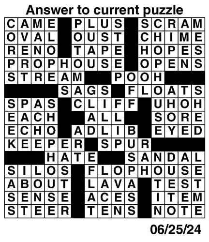 Crossword puzzles for Week of June 23 2024 Multimedia dcourier com