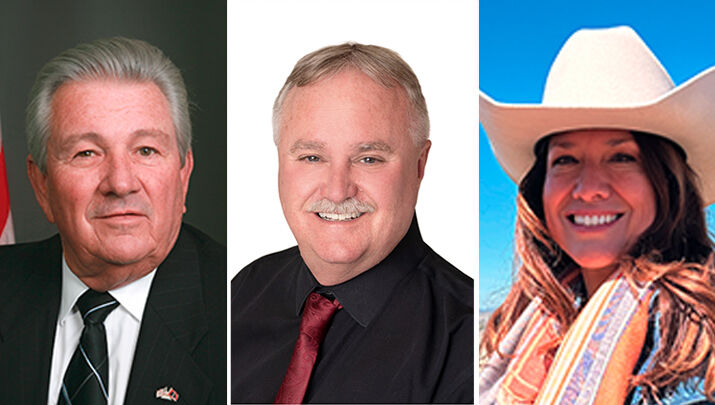 Yavapai County Board Of Supervisors District 4 Candidates 2024 – Bios ...