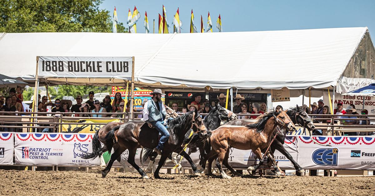 Buckle Up Rodeo Rodeo Roundup: 1888 Buckle Club: Preserving PFD’s Western Heritage ...