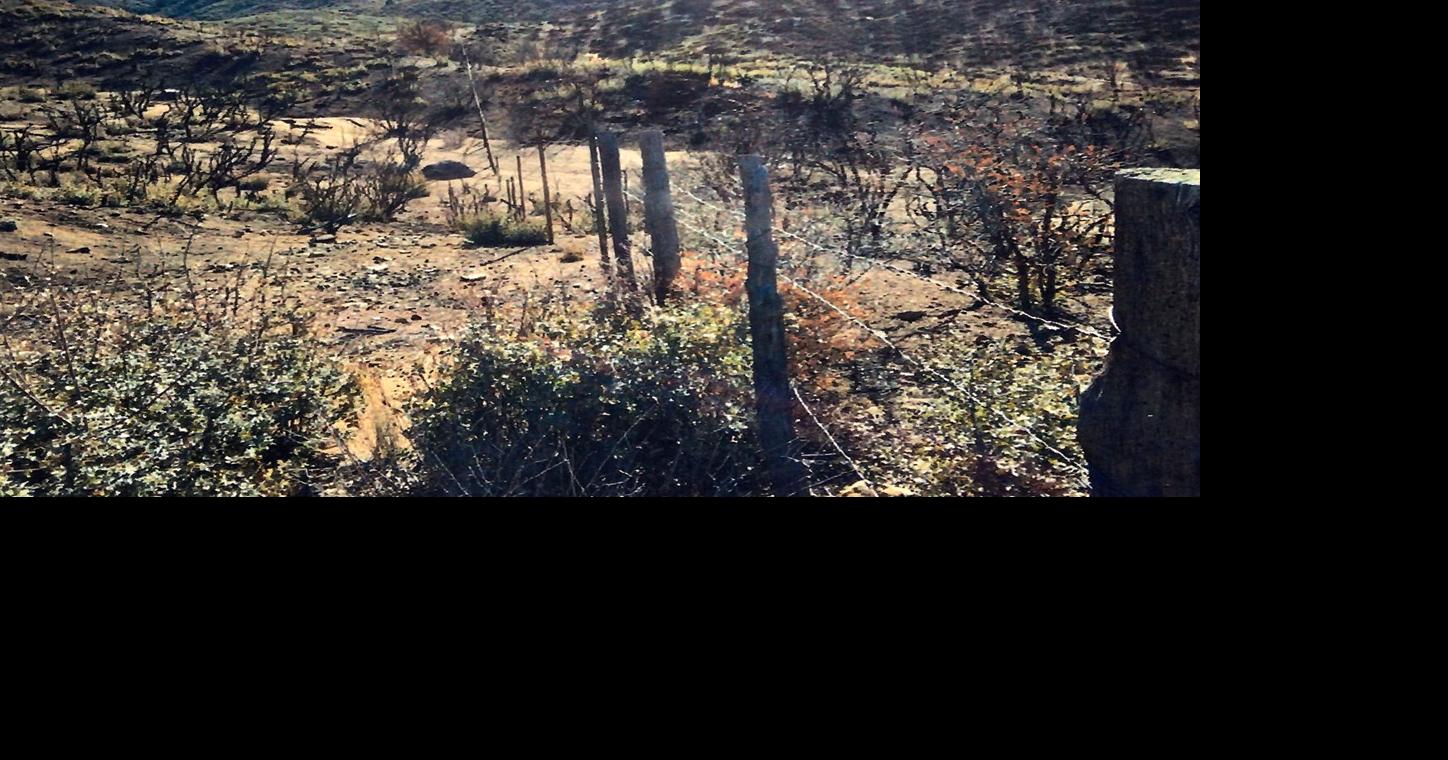Hike Arizona: Crater Mountain Near Cherry | Sports Commentary ...