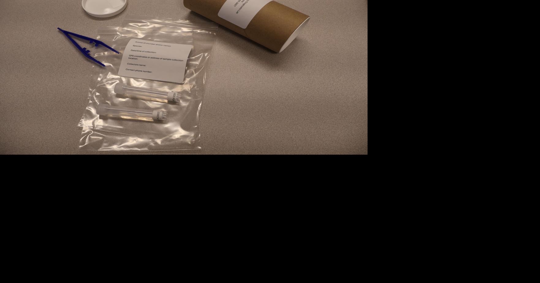 Cooperative Extension distributes New World screwworm sample kits, guide on detection